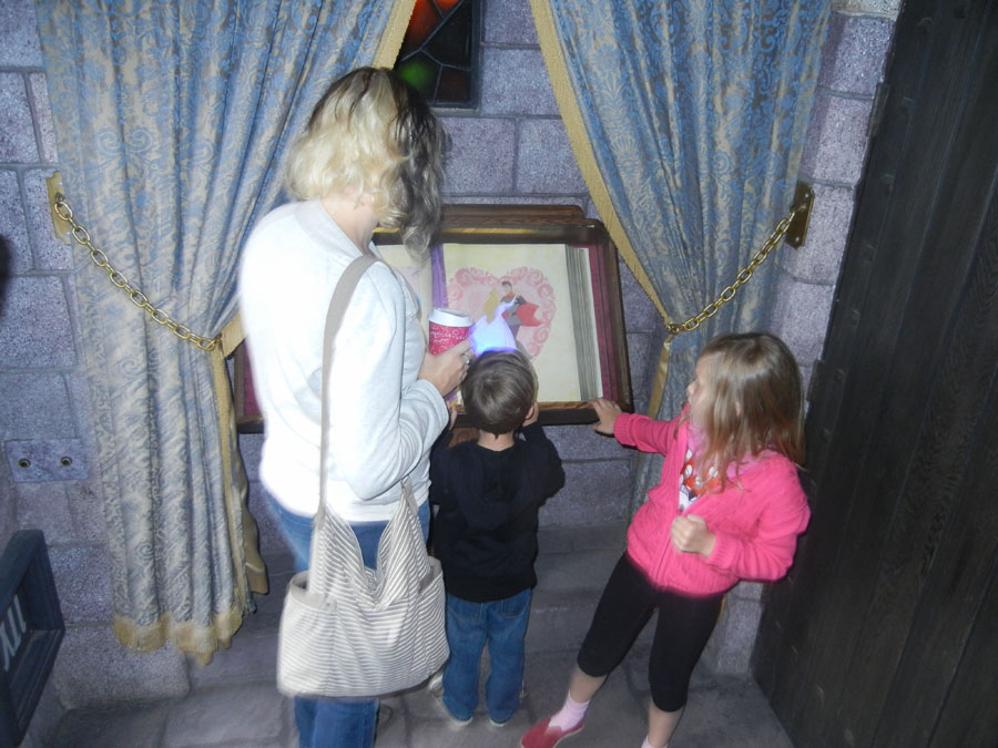Disneyland Fantasyland Castle Picture